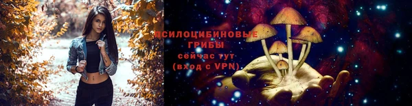 PSILOCYBIN Абдулино