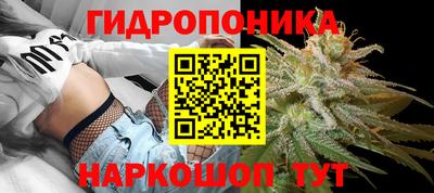 гашик Жуковский
