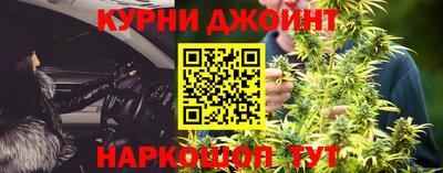 гашик Жуковский