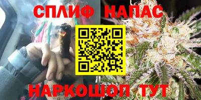 гашик Жуковский