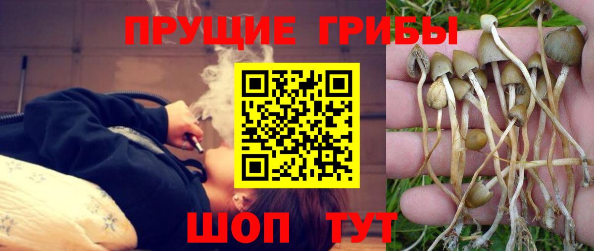 Псилоцибиновые грибы Magic Shrooms  Псилоцибиновые грибы MAGIC MUSHROOMS  Вход с VPN  Нефтеюганск 